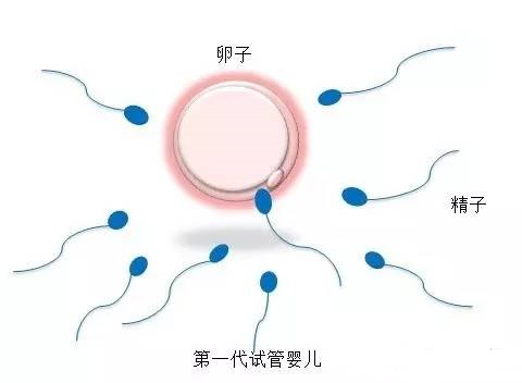 优胚鲜胚移植医学中心